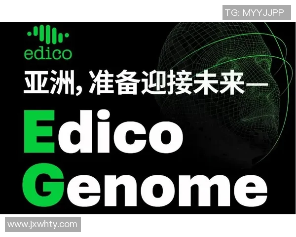 北京羽毛球队进攻革新之路：技术提升与战术创新的深度剖析